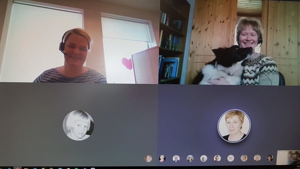 Tíukaffið komið á netið