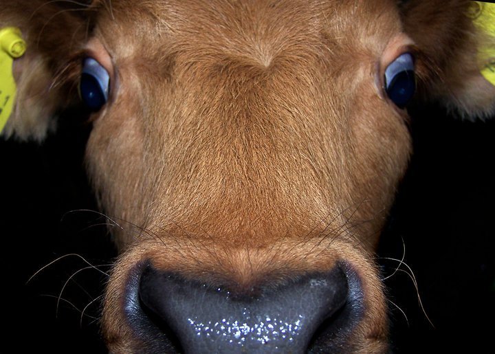 Fjárfestingastuðningur – umsóknarfrestur