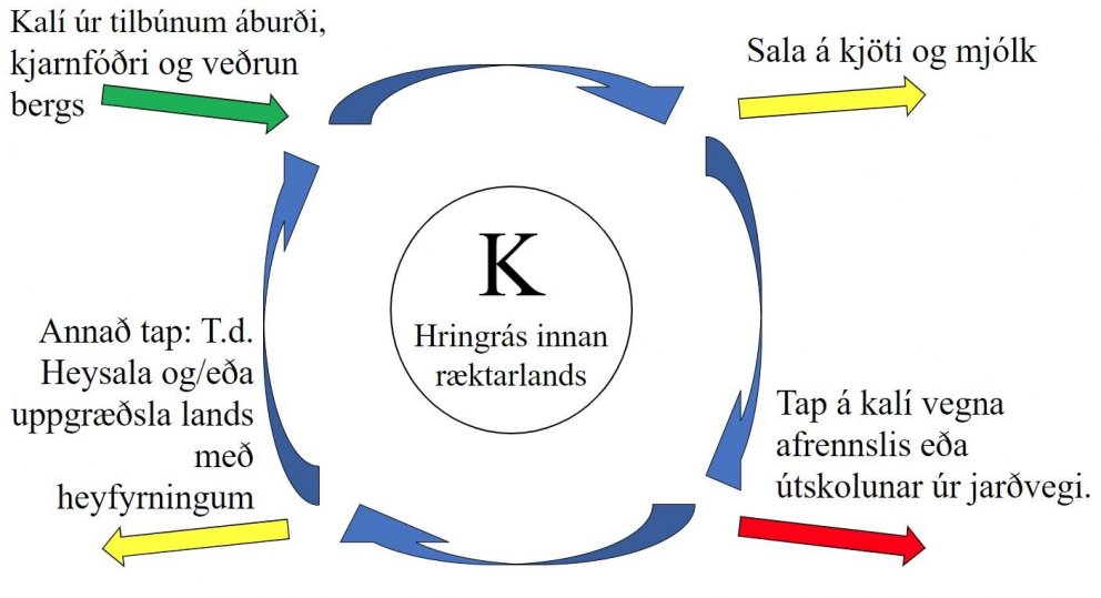 Plöntunæringarefnið kalí, hlutverk, hringrás og þróun þess í uppskeru og í jarðvegi