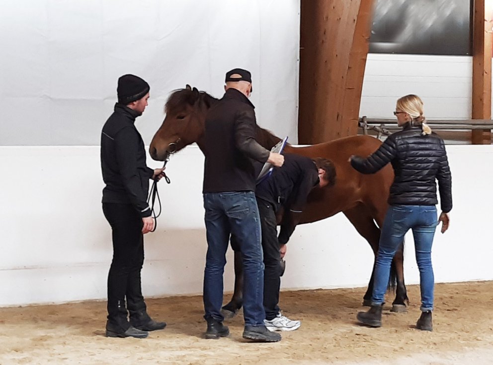 Kynbótasýningar 2021 - sýningaáætlun