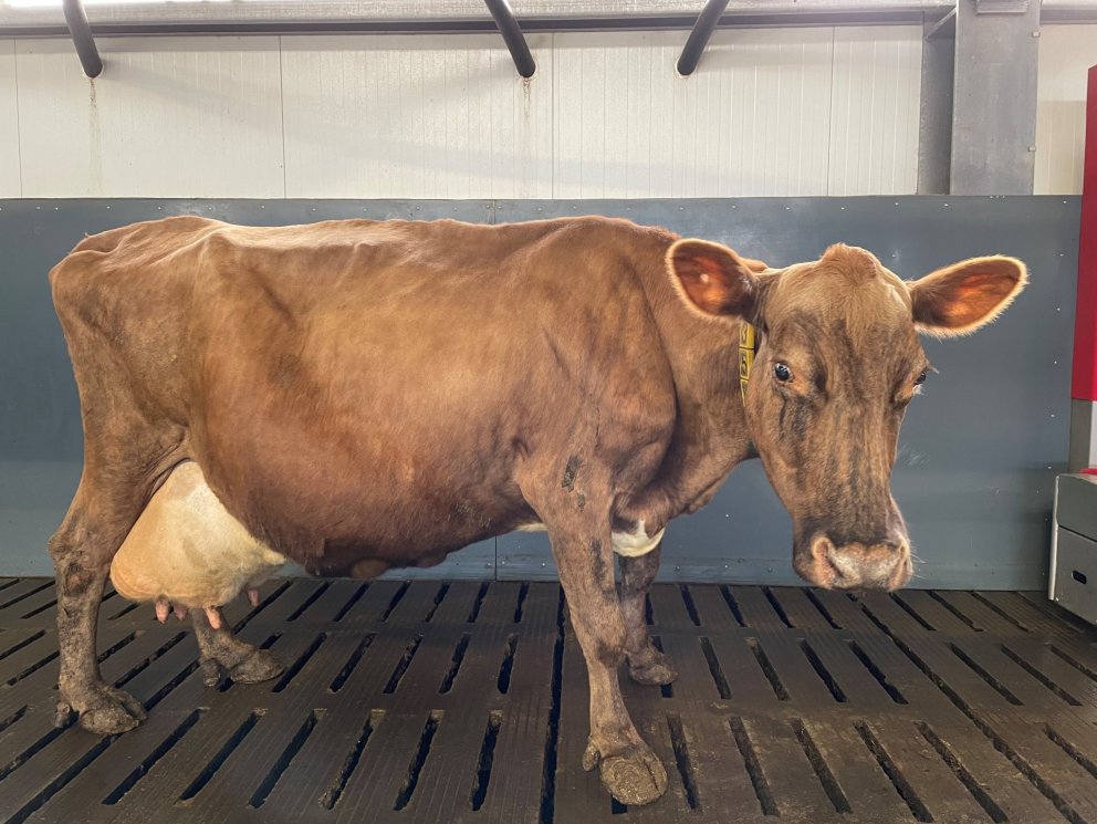 Gullbrá 357, Hóli. Mynd: Karl Vernharð Þorleifsson.