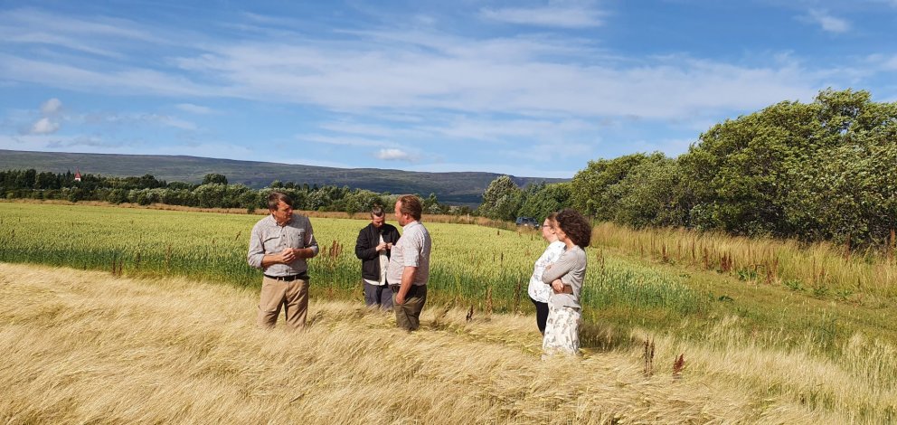 Málþing um lífræna ræktun í framkvæmd