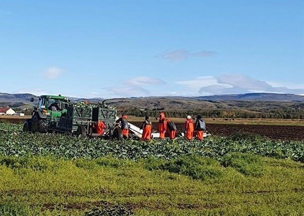 Aðlögun að lífrænum framleiðsluþáttum - fyrirlestur