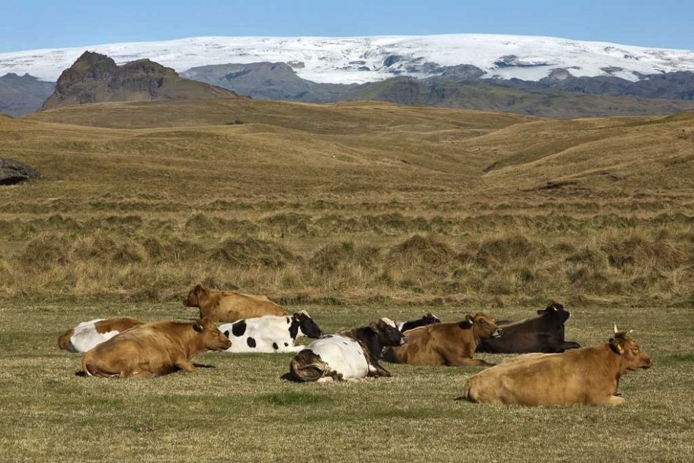 Mynd: Jóhann Óli Hilmarsson