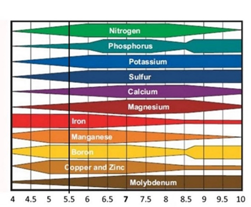 Myndin sýnir aðgengi næringarefna eftir sýrustigi í jarðvegi.