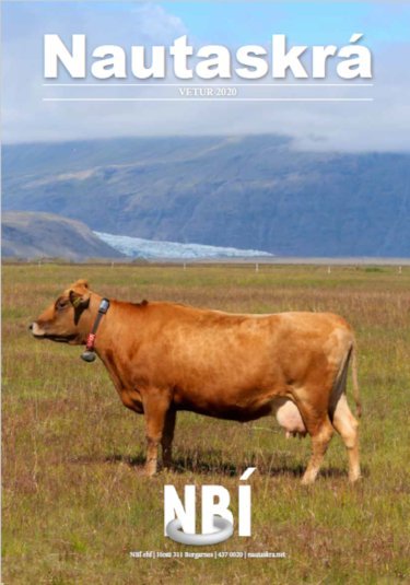 Ný nautaskrá komin út