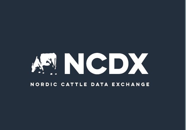 Norrænt samstarf í útrás