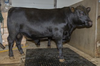 Valur-ET 19402. Mynd: HES