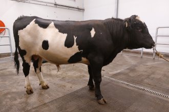 Draupnir 23040. Mynd: NBÍ.