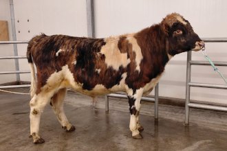 Tumi 24014. Mynd: NBÍ.