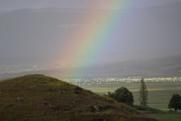 Leiðbeiningar um hauststörfin vegna Covid 19
