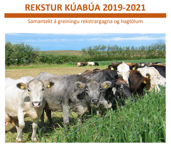 Rekstur kúabúa 2019-2021 - Netfundur