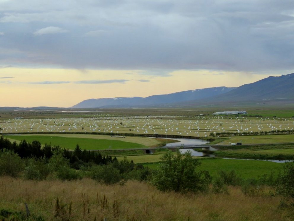 Loftslagsvænn landbúnaður