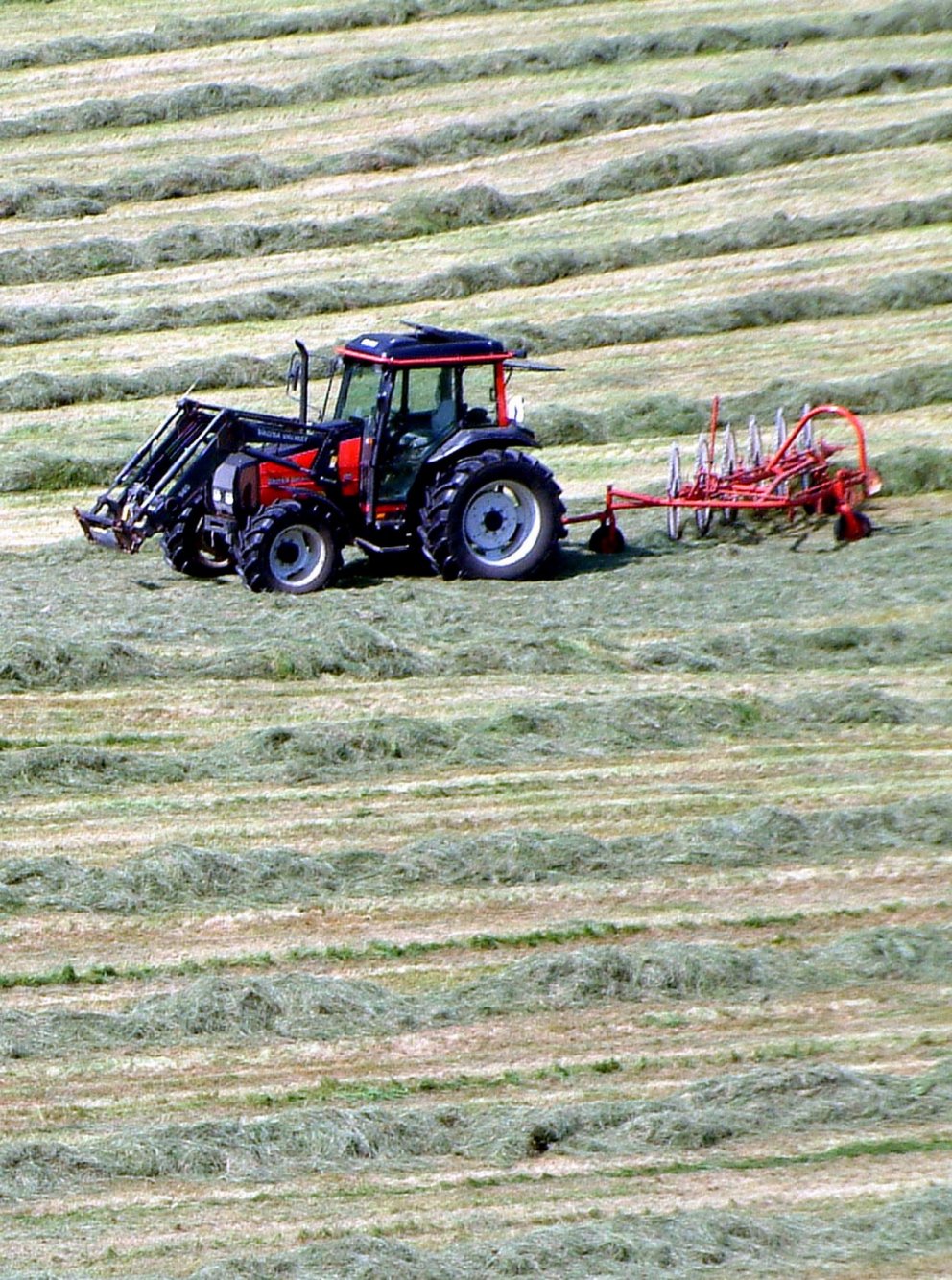 Niðurstöður heyefnagreininga 2021