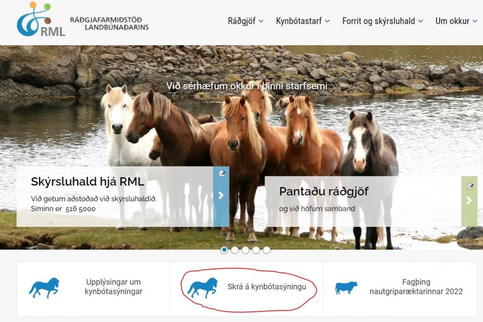 Opnað verður á skráningar á kynbótasýningar vorsins 3. maí.