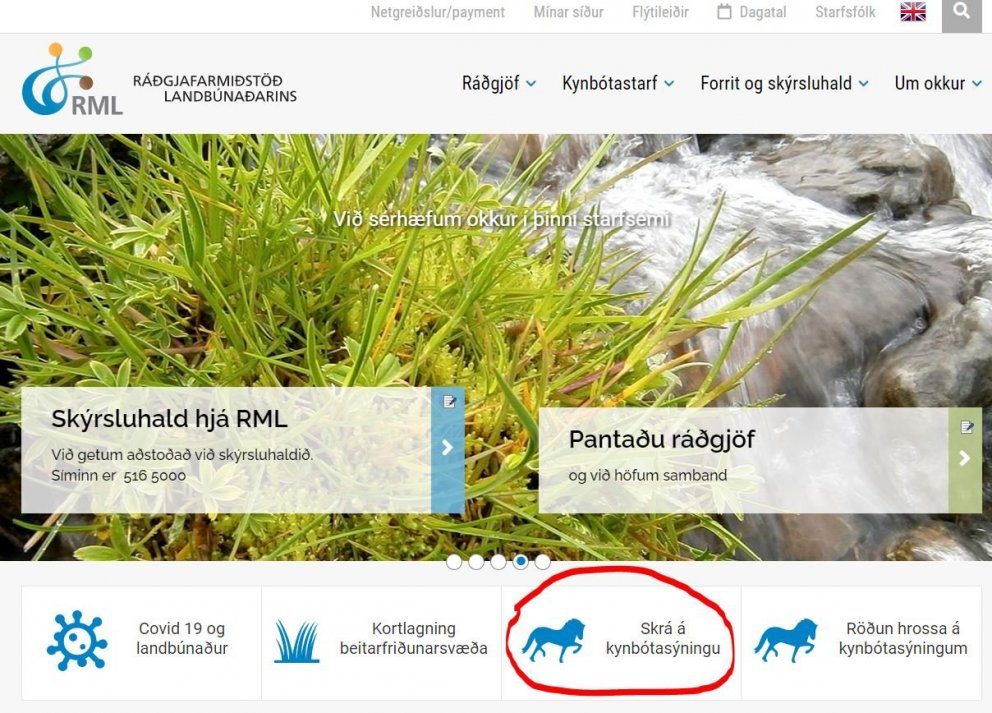 Skráningar á miðsumarssýningar