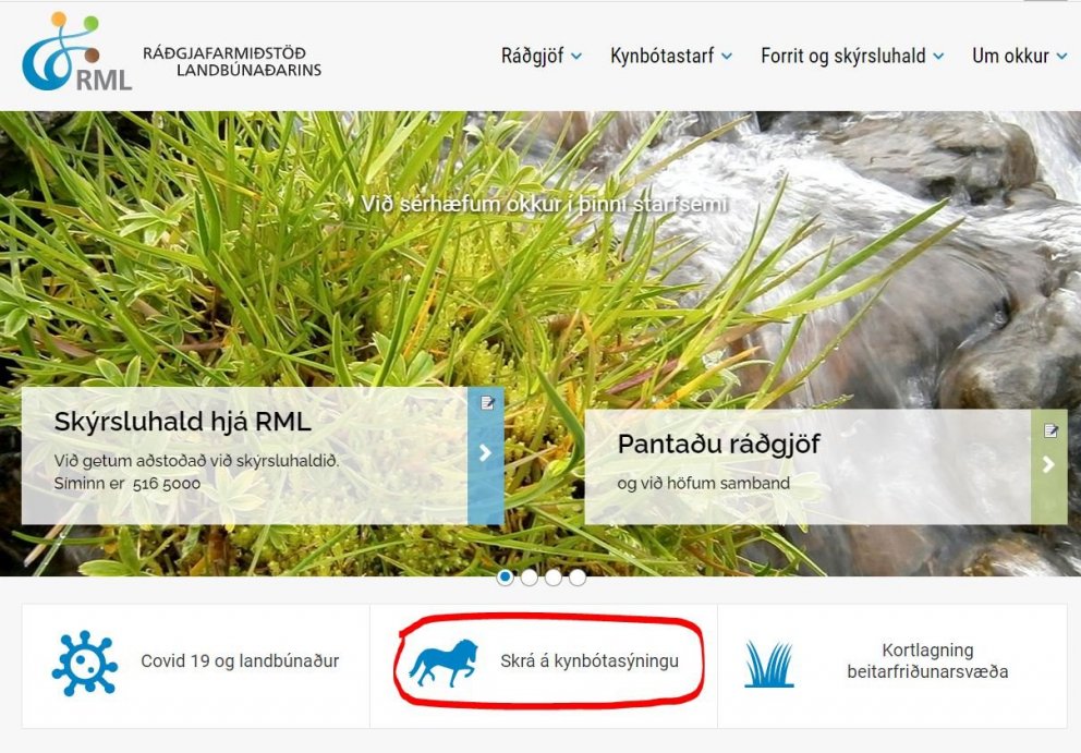 Kynbótasýningar - Minnum á síðasta skráningardag 14. maí