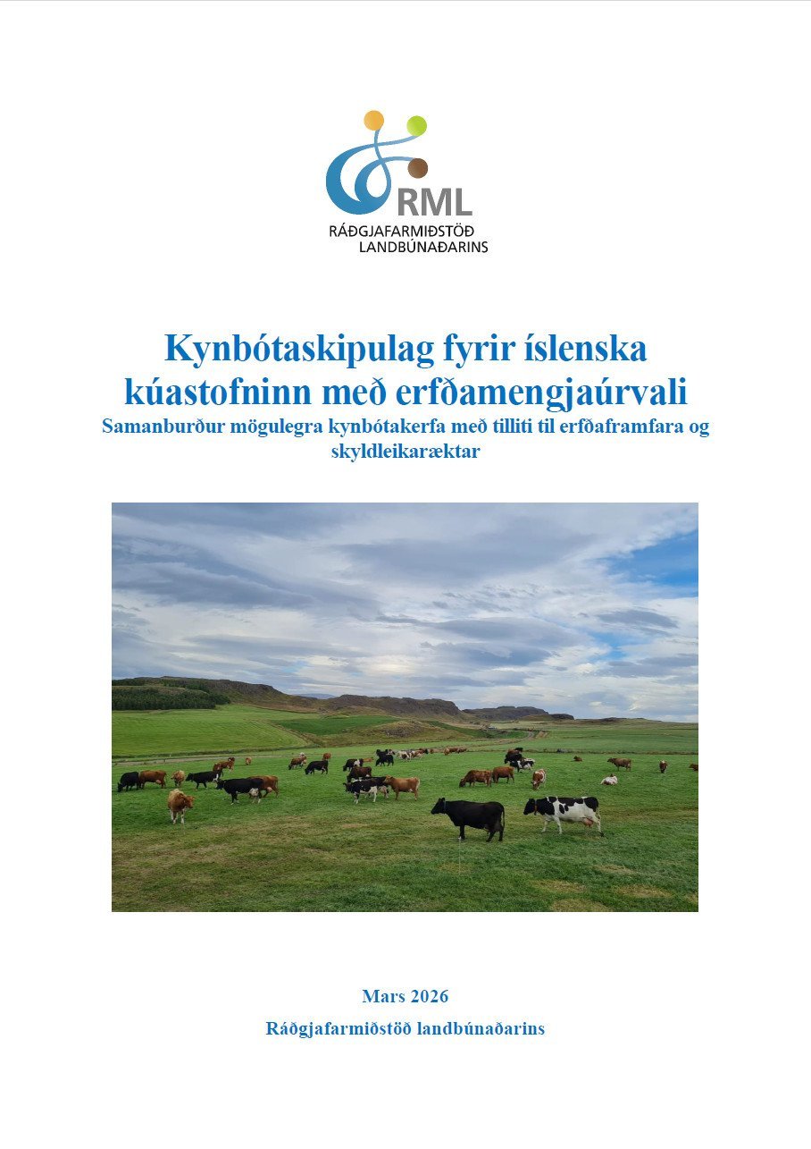 Kynbótaskipulag fyrir íslenska kúastofninn með erfðamengjaúrvali