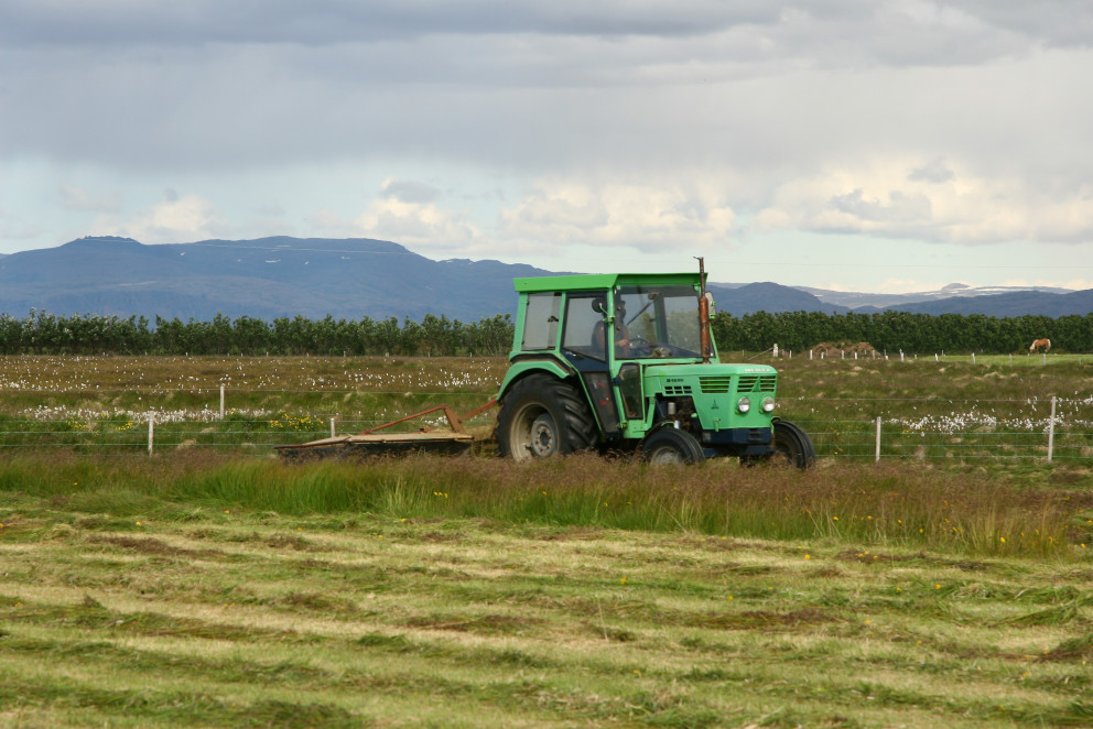 Móttaka hirðingarsýna hafin