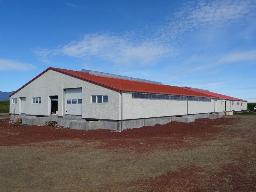 Nýtt fjós á Snorrastöðum