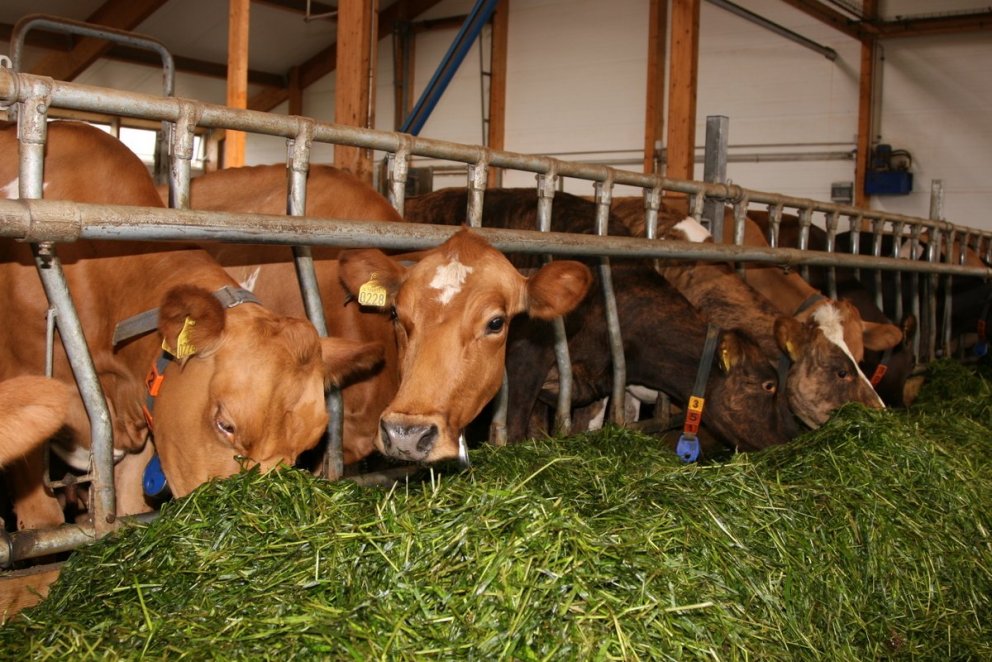 NorFor kemur vel út í samanburði