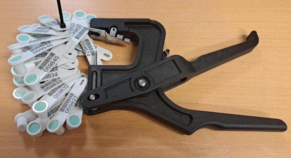 Arfgerðargreiningar sauðfjár – ÍE tekur á móti sýnum út nóvember