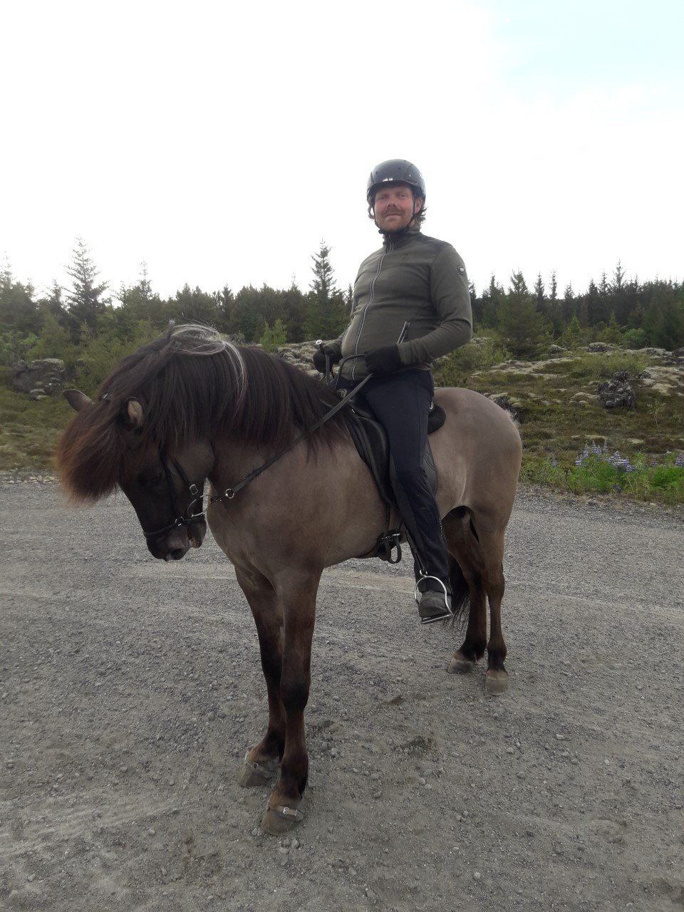 Yfirlitssýning í Hafnafirði 19. Júní