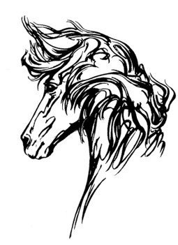 Umsóknir um styrki úr Stofnverndarsjóði íslenska hestakynsins