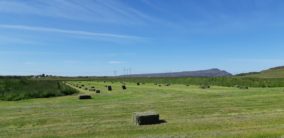 Heyöflun í þurrkatíð