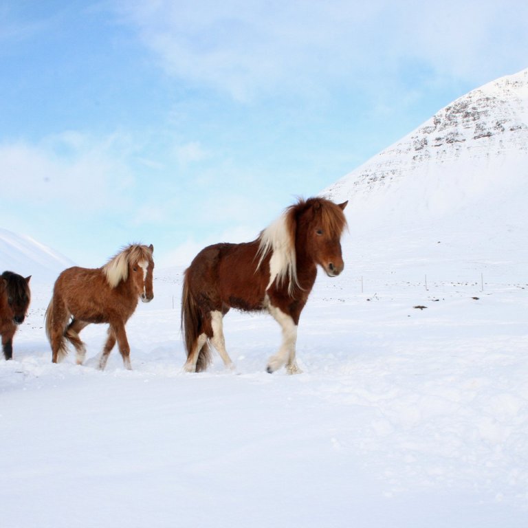 Vegna veðurs - viðbragðshópur