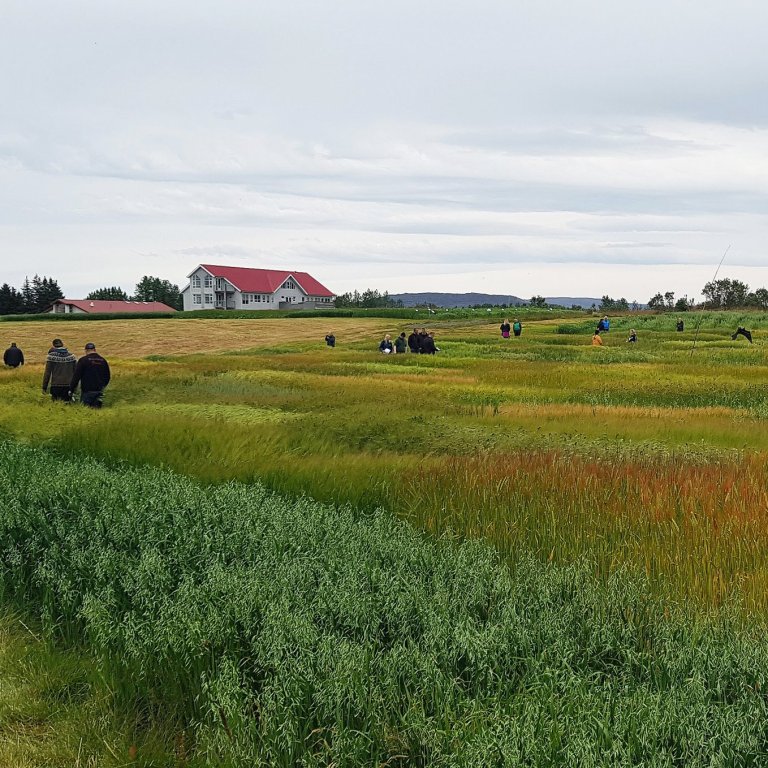 Sáðvörulisti 2025