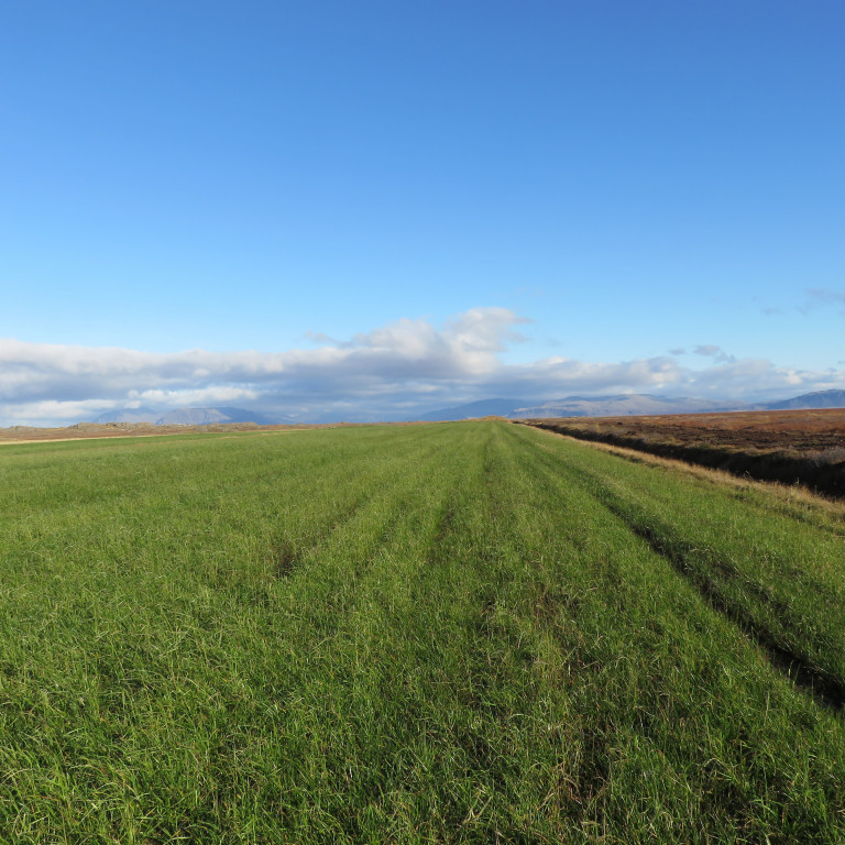 Jarðræktarforritið Jörð.is