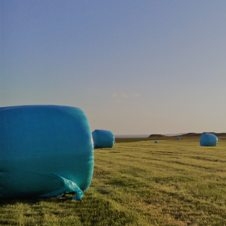Minnkun losunar gróðurhúsalofttegunda frá landbúnaði - Þátttökubú