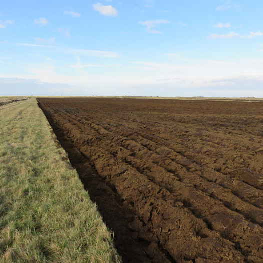 SPROTINN jarðræktarráðgjöf