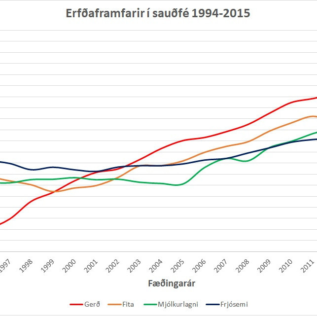 Kynbótamat sauðfjár 2018