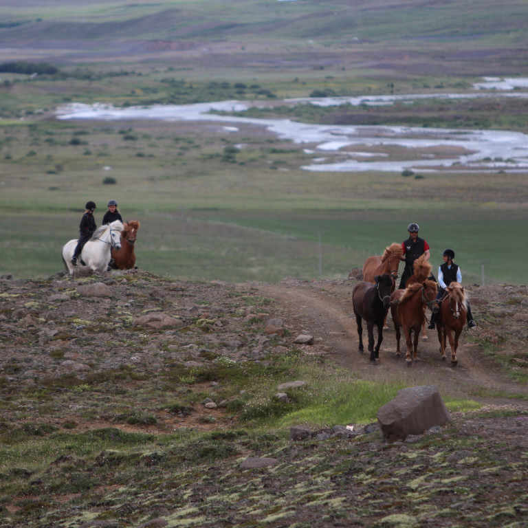 Opnað fyrir skráningar á miðsumarssýningar