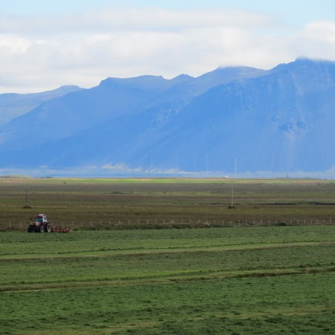 Gríptu boltann - Átaksverkefni RML og Framleiðnisjóðs landbúnaðarins