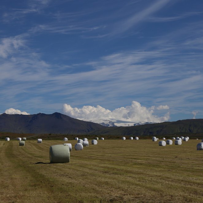 Heysýnatakan komin á fulla ferð