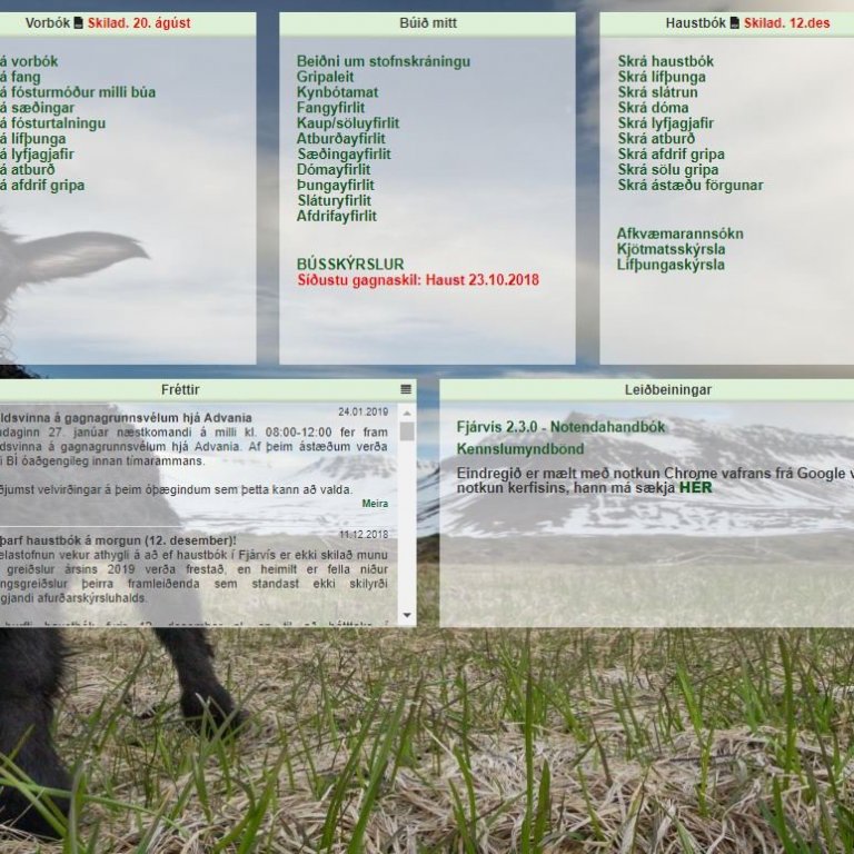 Niðurstöður sauðfjárskýrsluhaldsins árið 2018