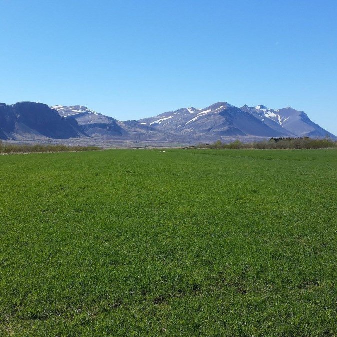 Skýrsluhald í jarðrækt er forsenda jarðræktarstyrkja og landgreiðslna