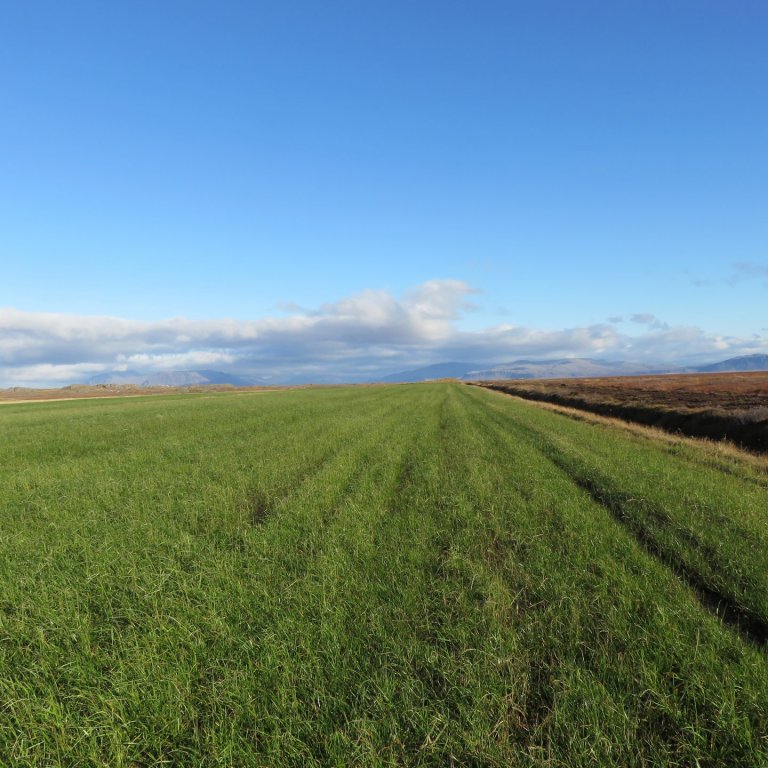 Niðurstöður heyefnagreininga haustið 2019