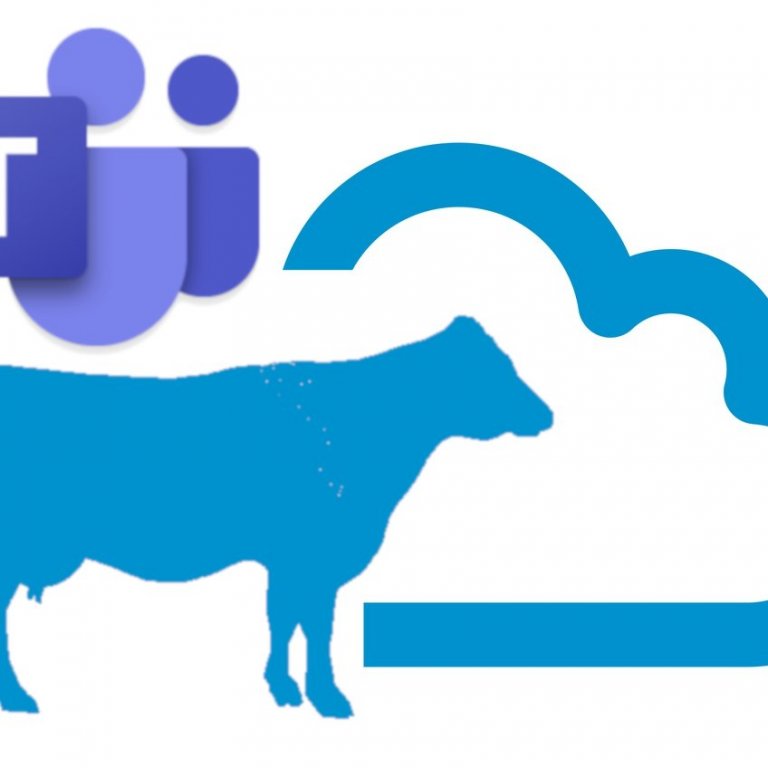 Fjósloftið: Hjarðstýring á mjaltaþjónabúum