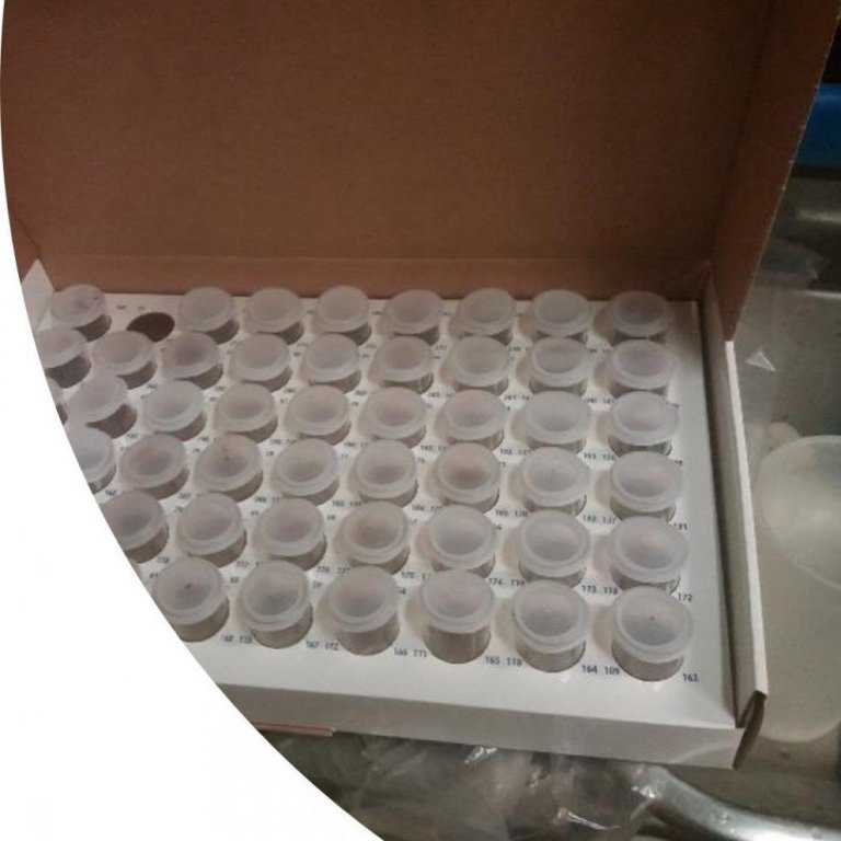 Móttaka kýrsýna hefst aftur mánudaginn 18. maí