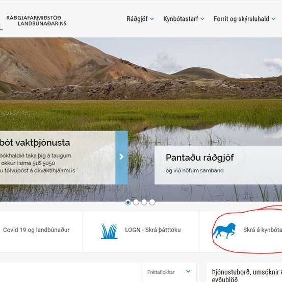 Kynbótasýningar - Minnum á síðasta skráningardag 22. maí