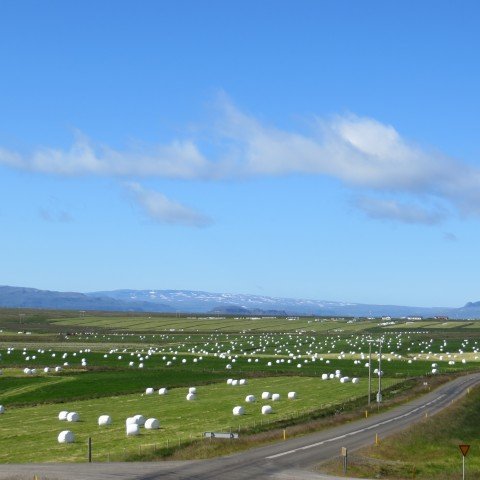 Tökum hey- og jarðvegssýni