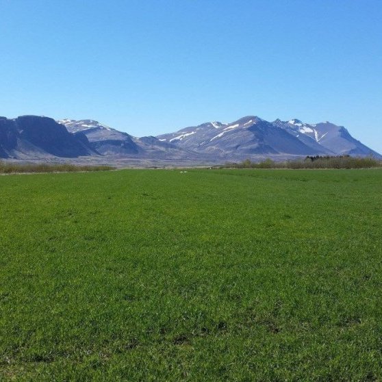 Jarðræktarskýrsluhald og túnkortabreytingar