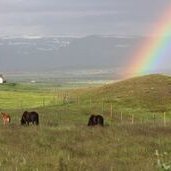 Uppfærðar leiðbeiningar RML og BÍ til bænda vegna Covid 19