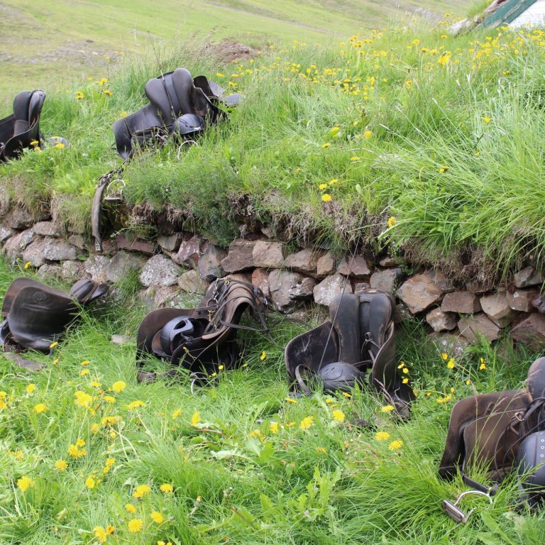 Nýtt kynbótamat fyrir hross