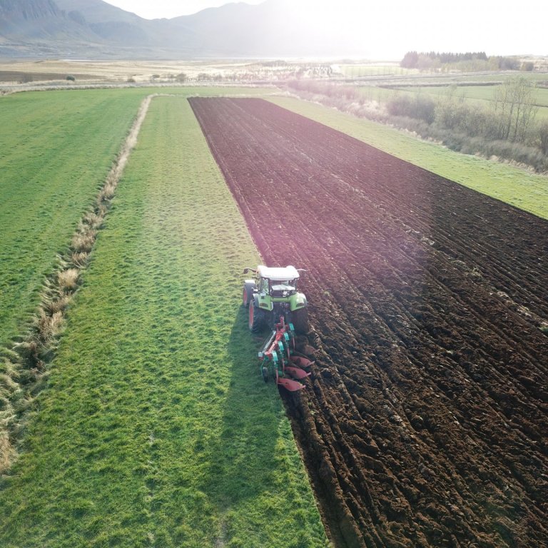 Plæging spildu á Hvanneyri. Mynd: Elínborg Bessadóttir