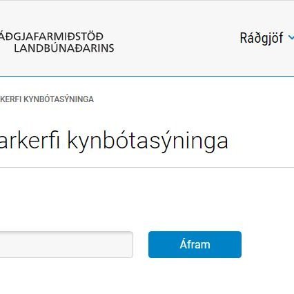 Skráningarkerfið komið í lag